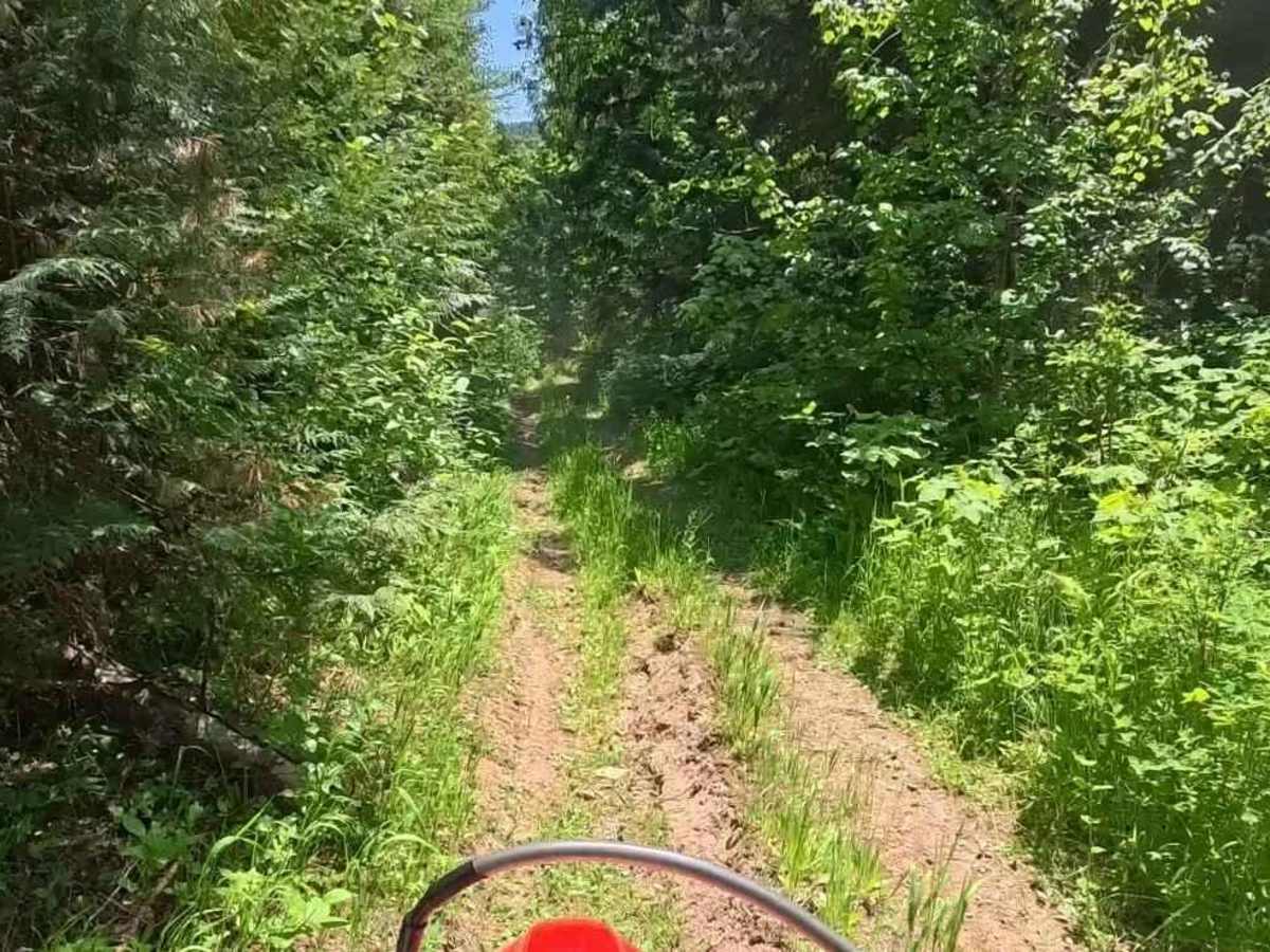 Coon Creek Trail (FDR 3300) trail photo