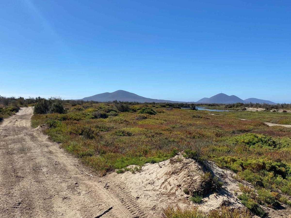 Mision Santa Maria Dunes photo 3