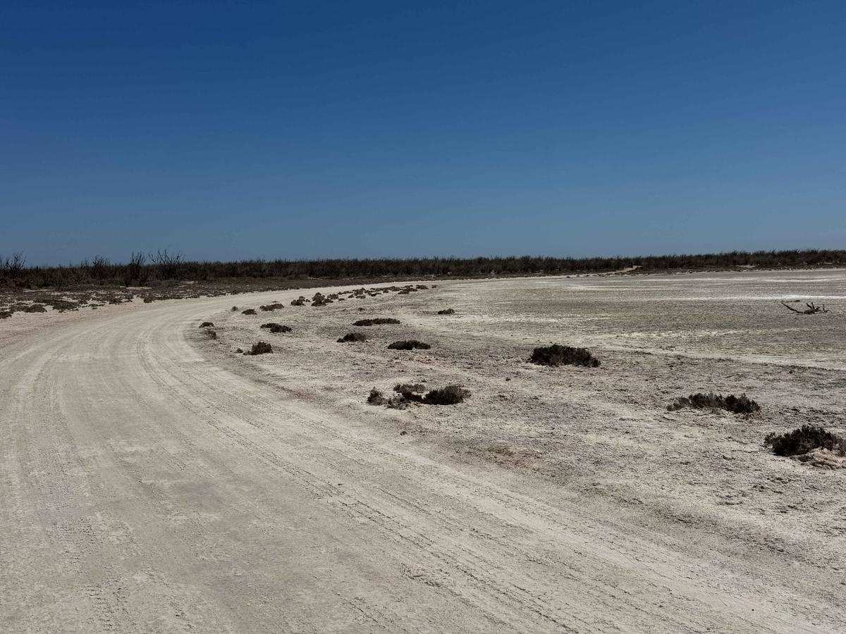 Mangroves La Chiquilera photo 2