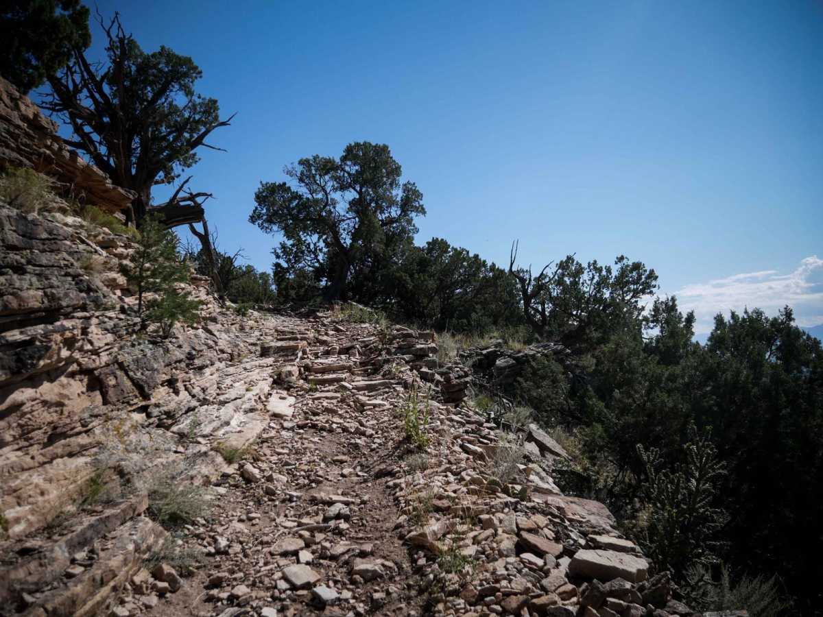6101A trail photo