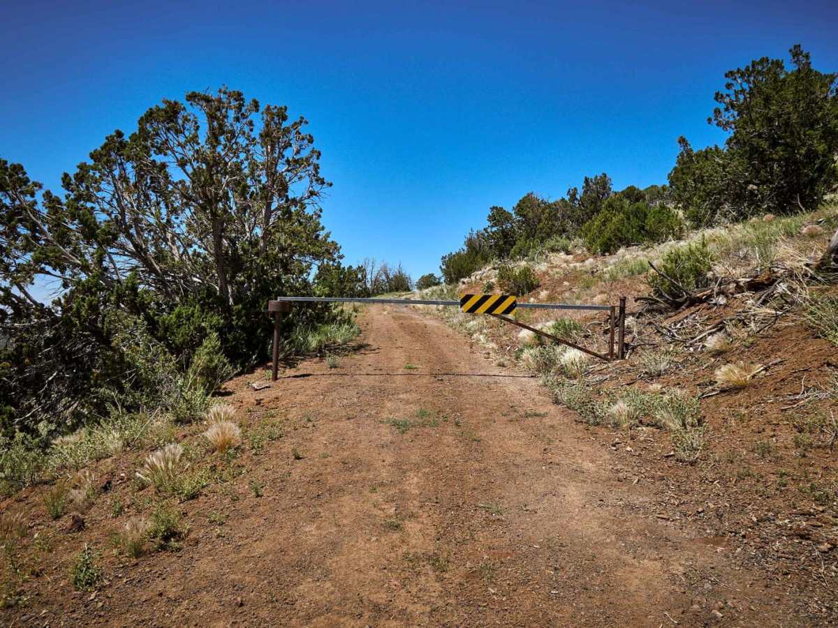 Red Hill Road trail photo