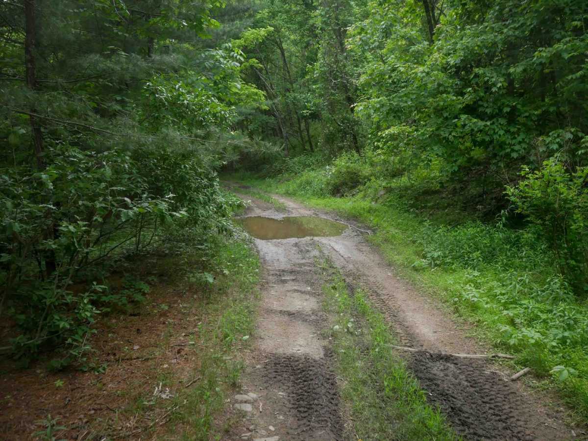 MV13 photo 3