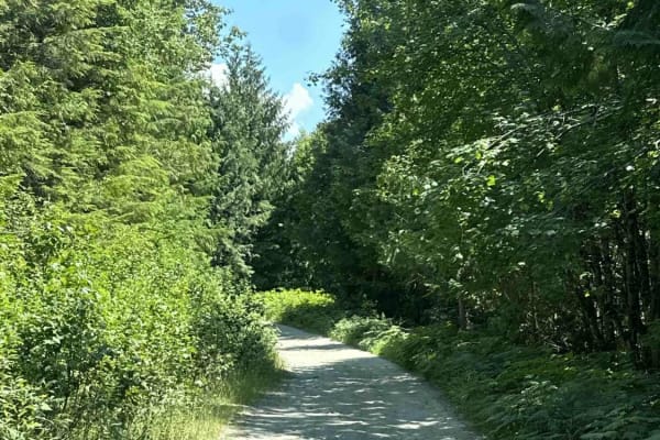 Wilson Creek