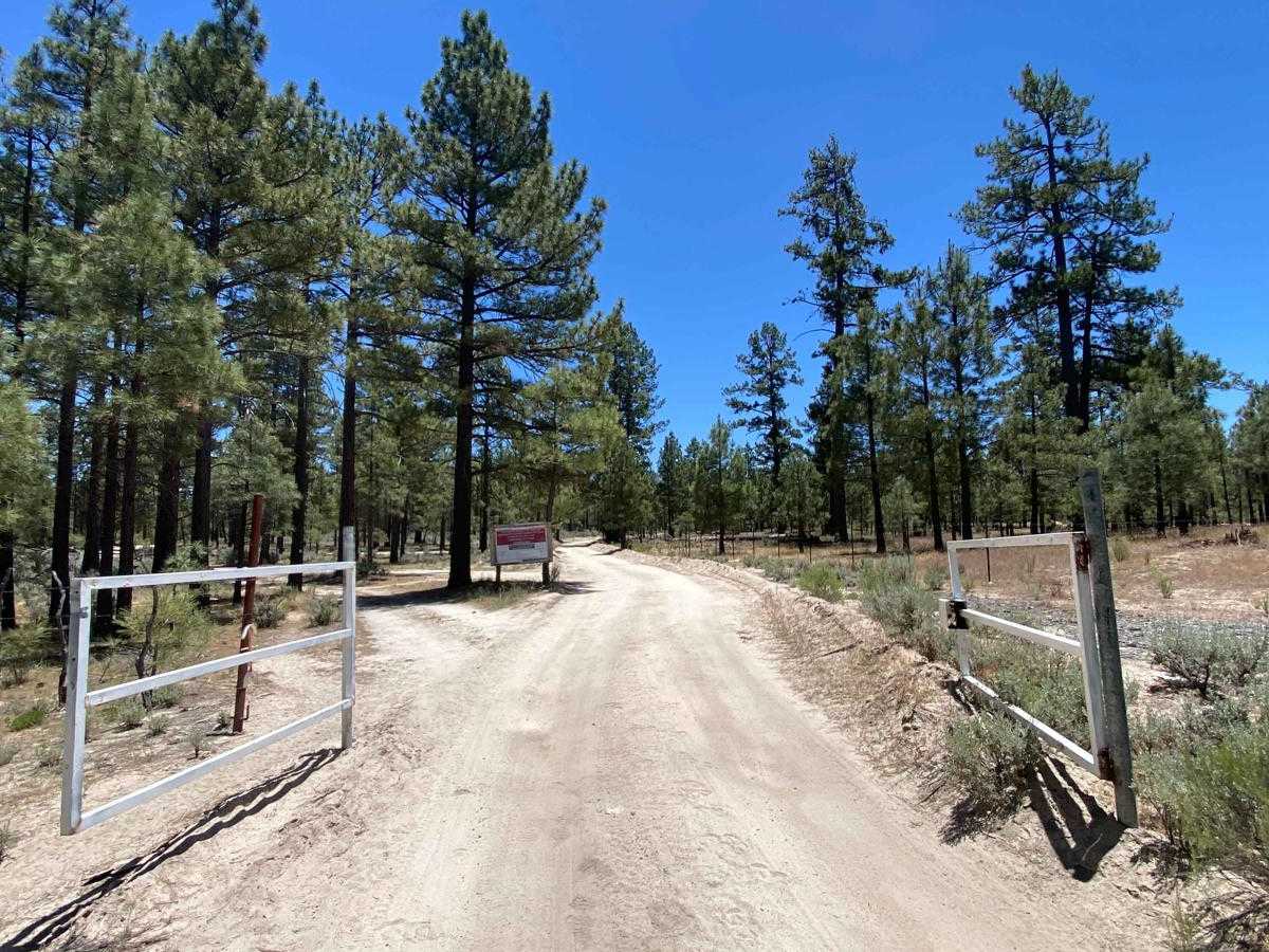 South of Laguna Hanson photo 3