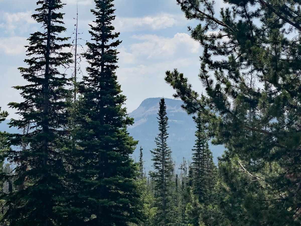 Pit & Page Hill (FR 80170) photo 4