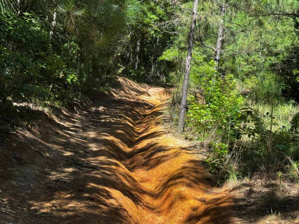 Pipeline Road photo 4