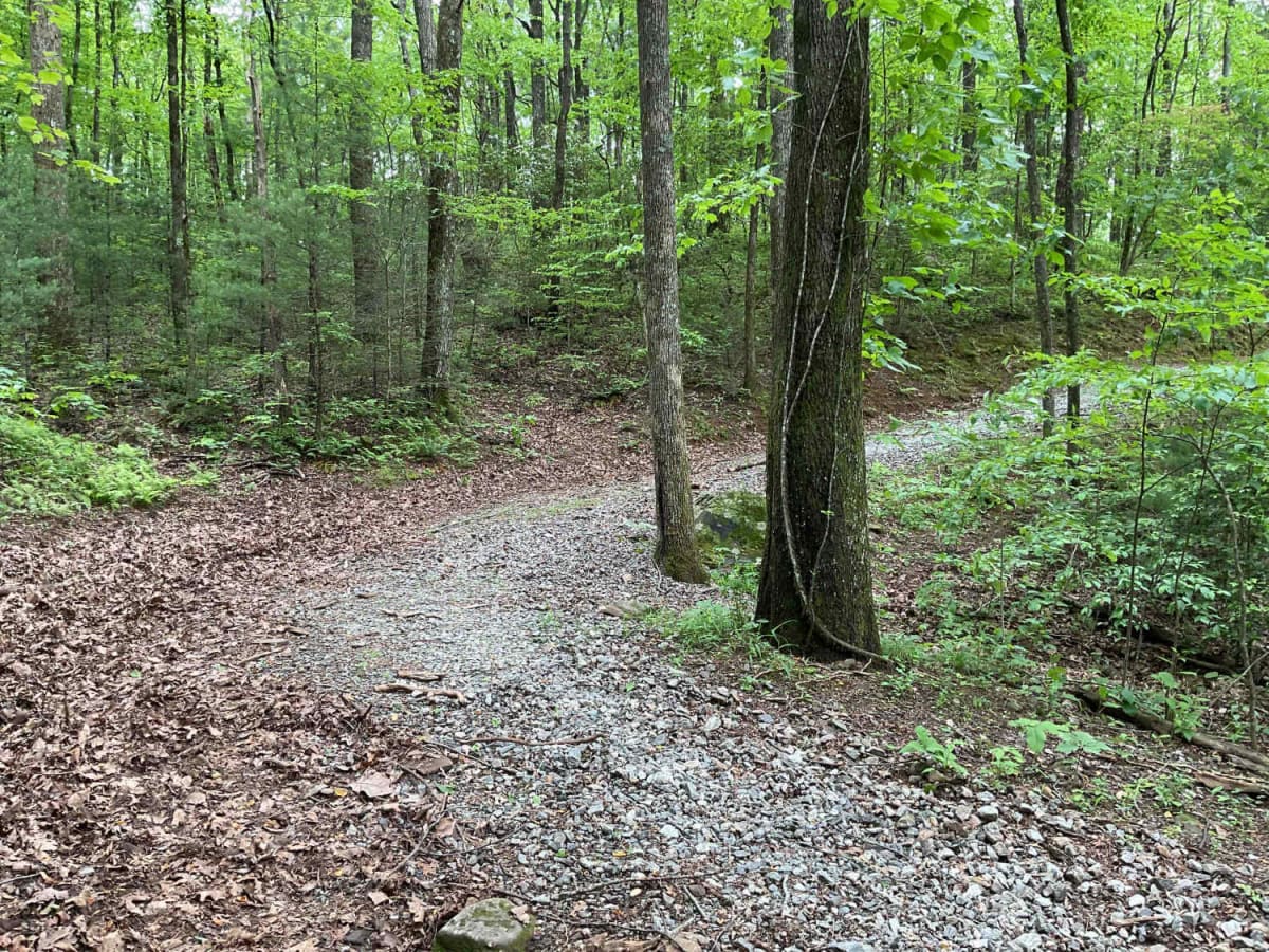Blue Mountain Spring - FS 639 trail photo