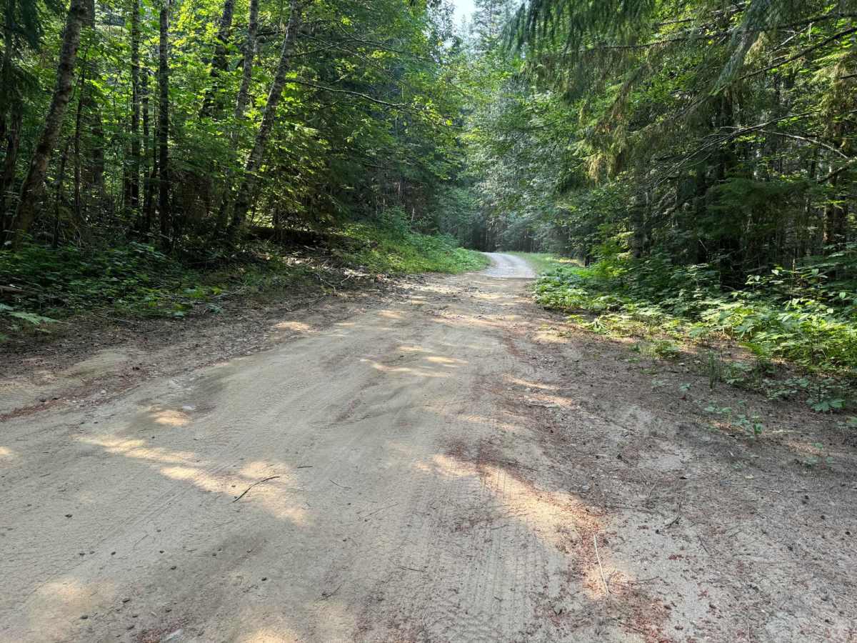 Sloan Creek photo 6