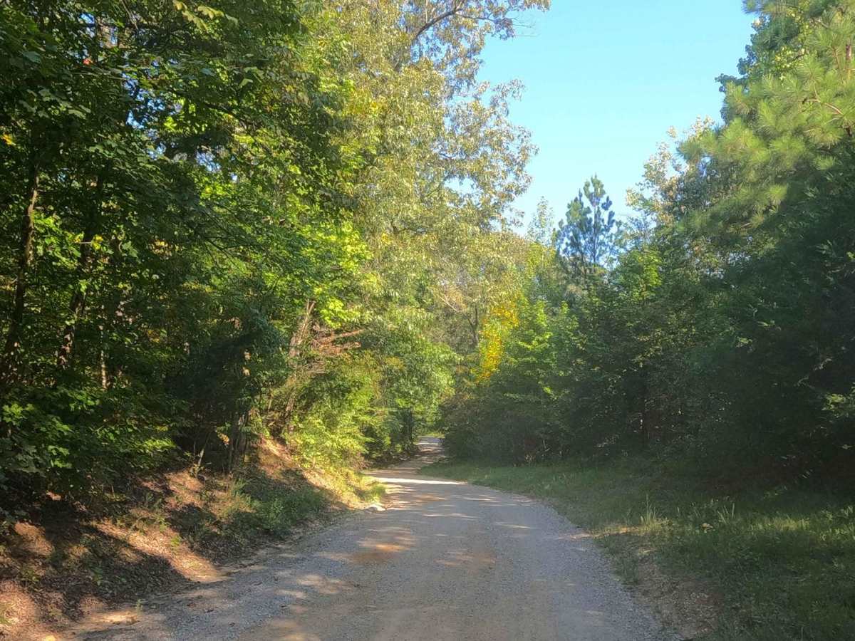 Smith Bay Road - FS 116 photo 3