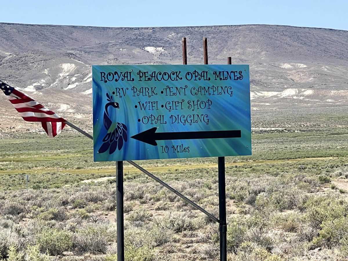 Virgin Valley Road photo 4