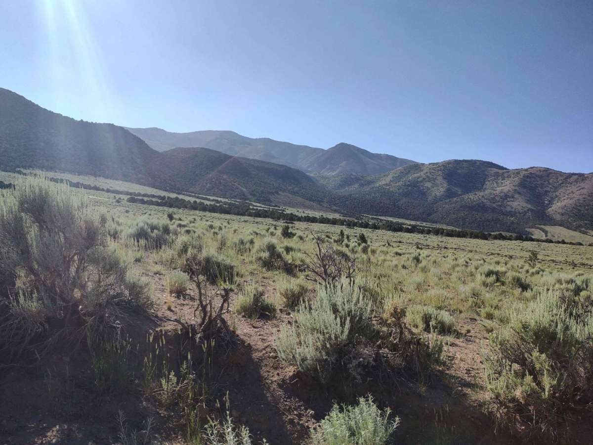 Monroe Mountain Road photo 6