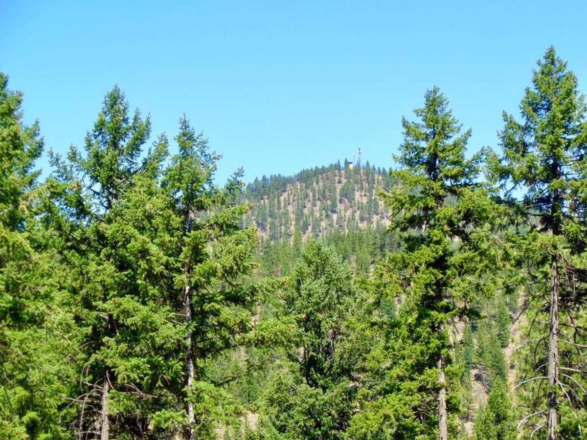 Thompson Peak Lookout Tower photo 2
