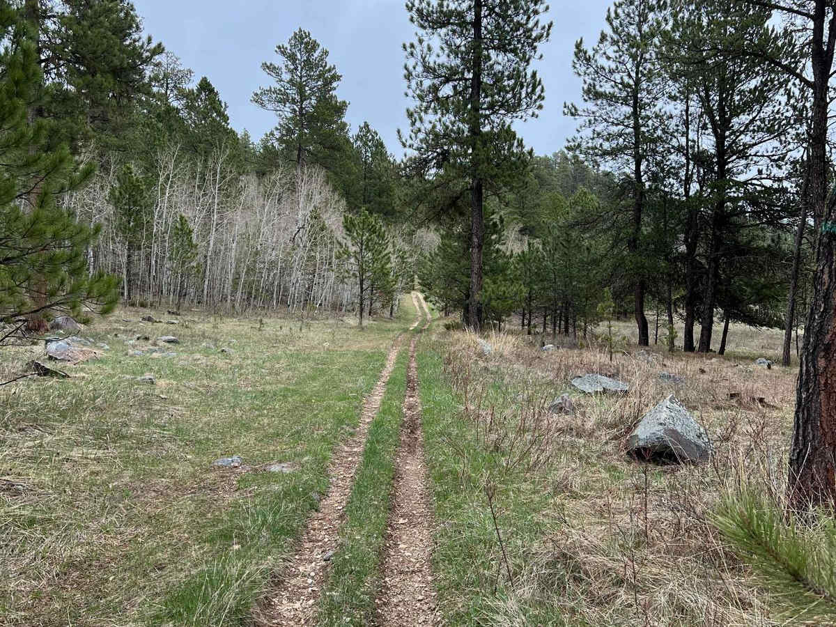 Crystal Mount Single Track photo 6