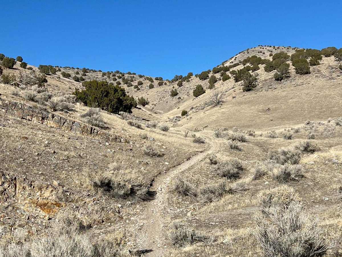 Peak Bagger trail photo
