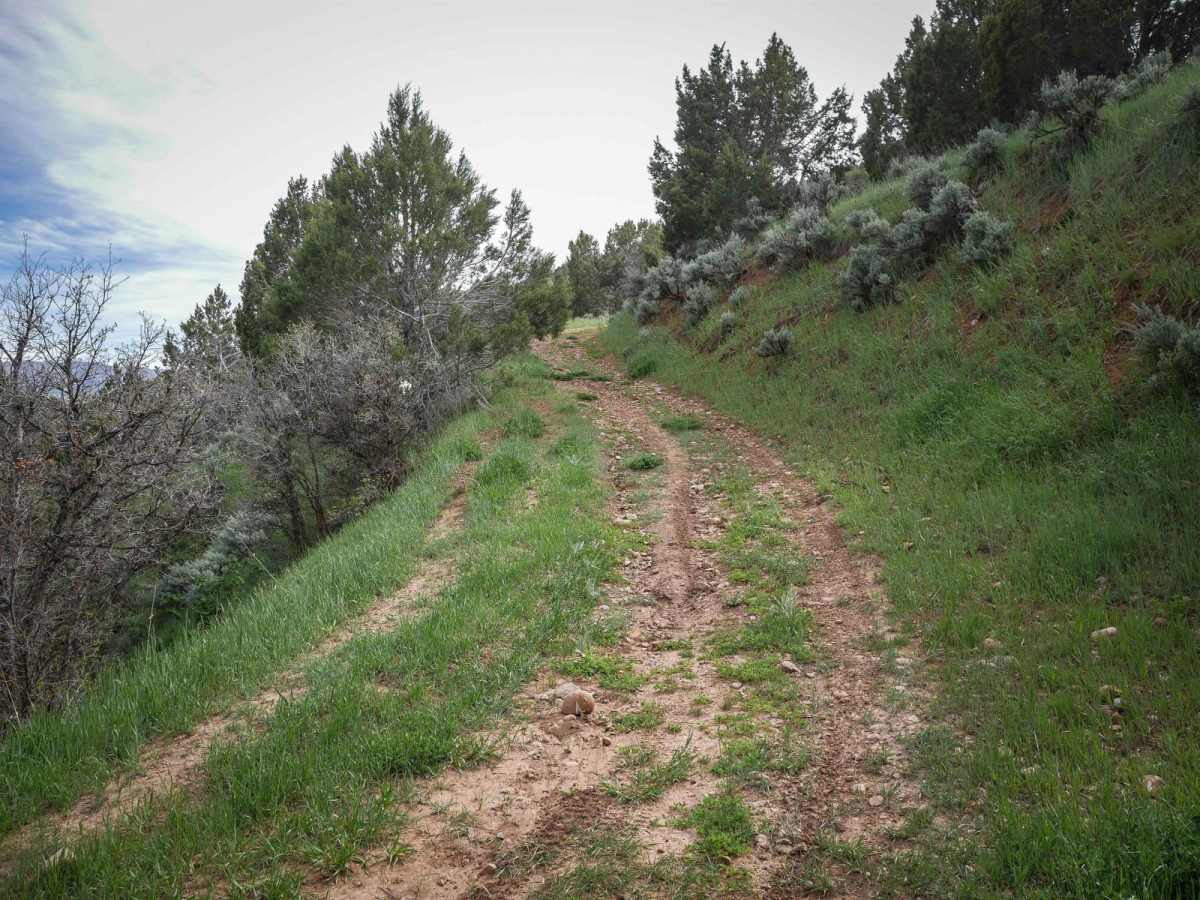 Knoll Hollow ATV Trail photo 4