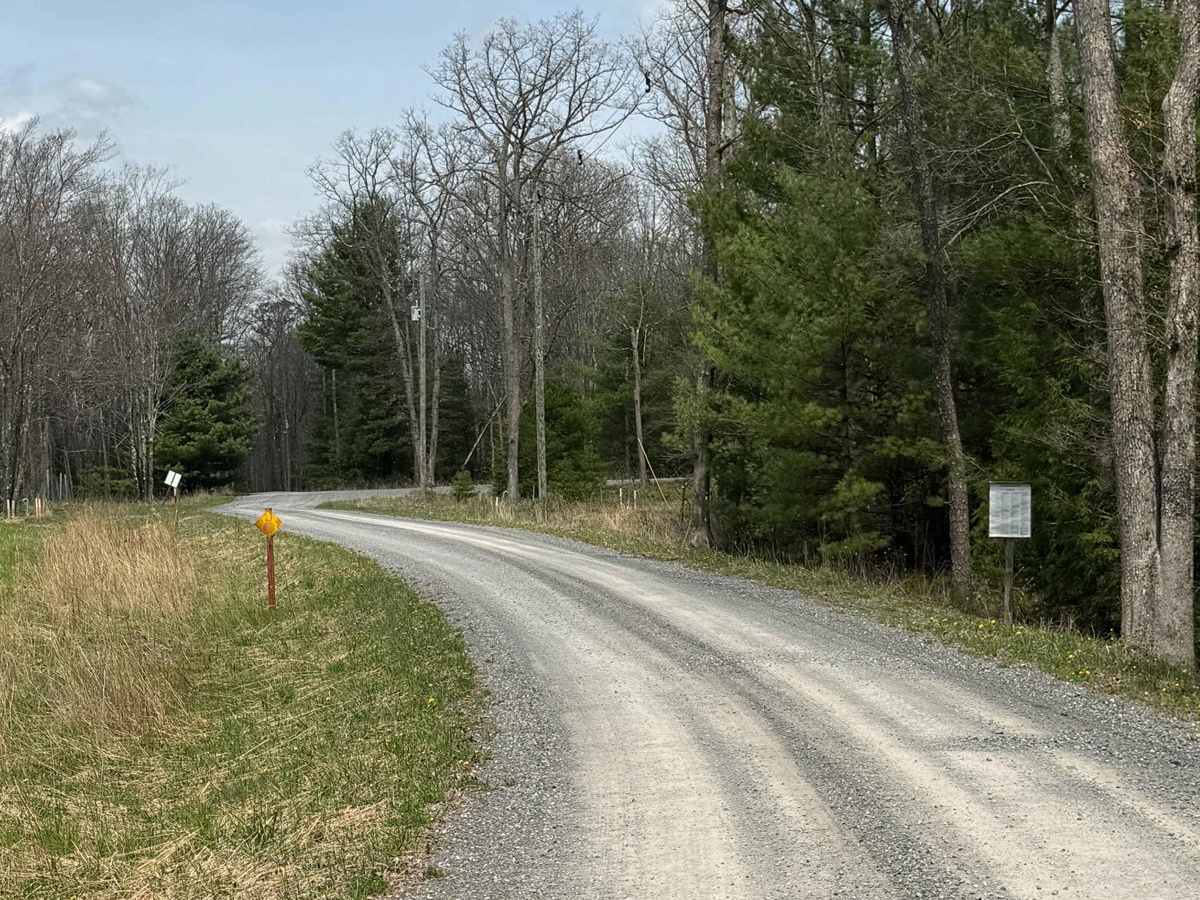 Francis Camp Road photo 5