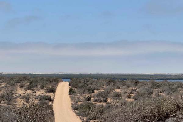 Campo Vicente Access