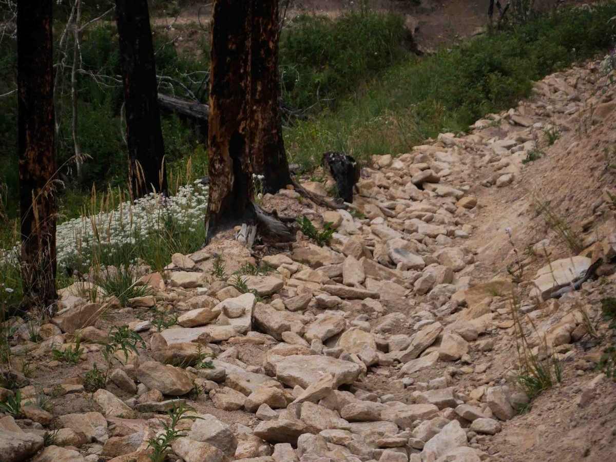 Willow Pass Trail photo 2