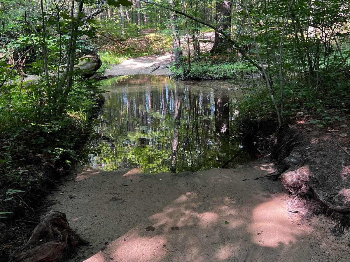 Heart Creek Trail trail photo