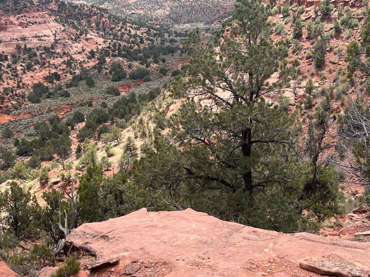 Waterglyph Lane (BLM 101) photo 3