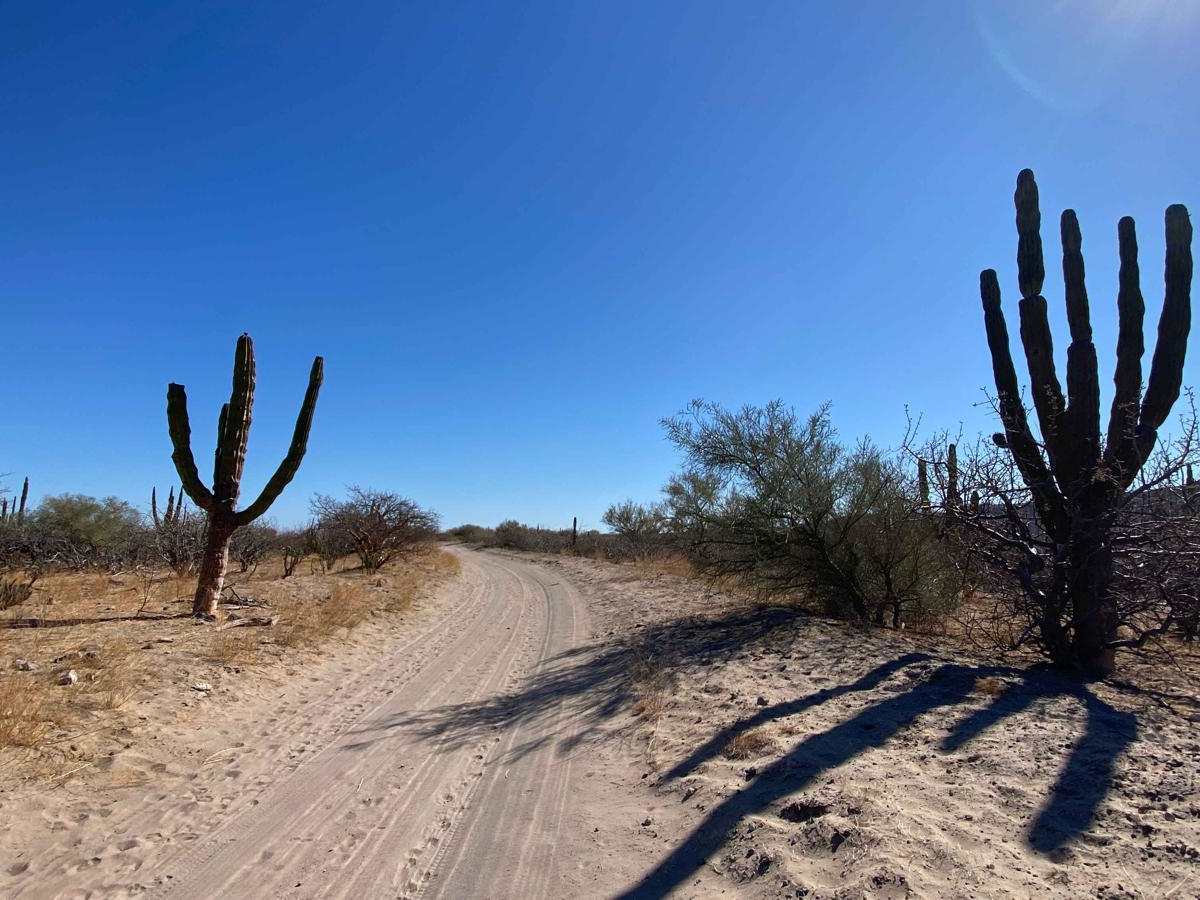 San Juan de la Costa Cutoff trail photo