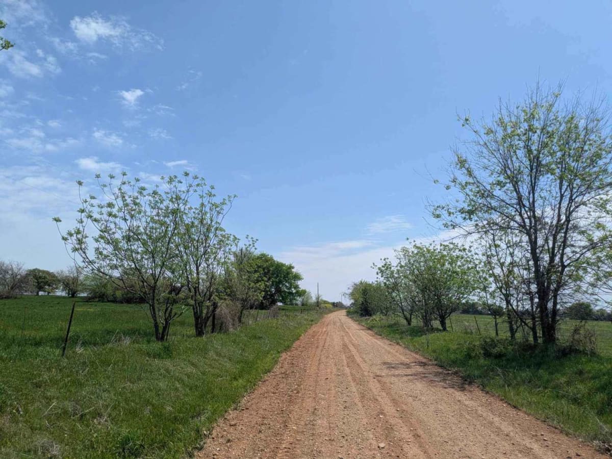 Bumpass Road photo 6