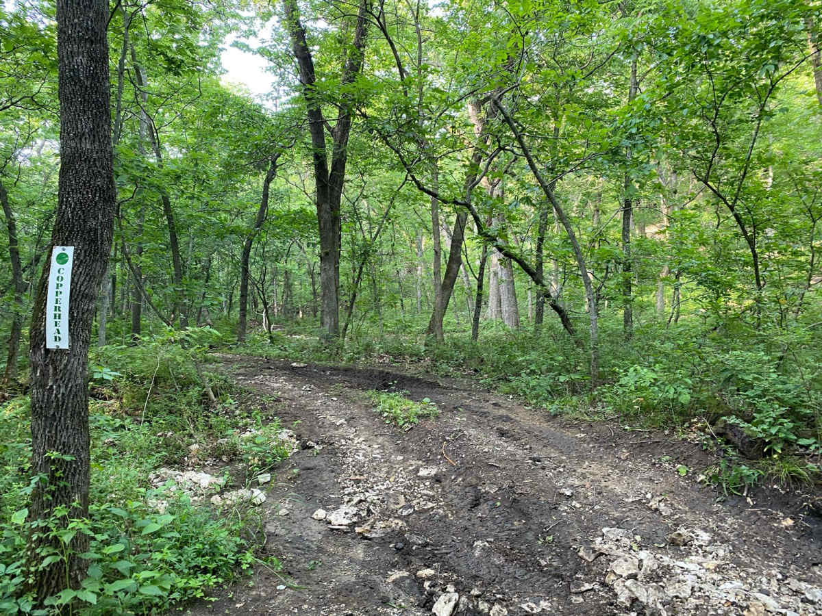 Copperhead trail photo