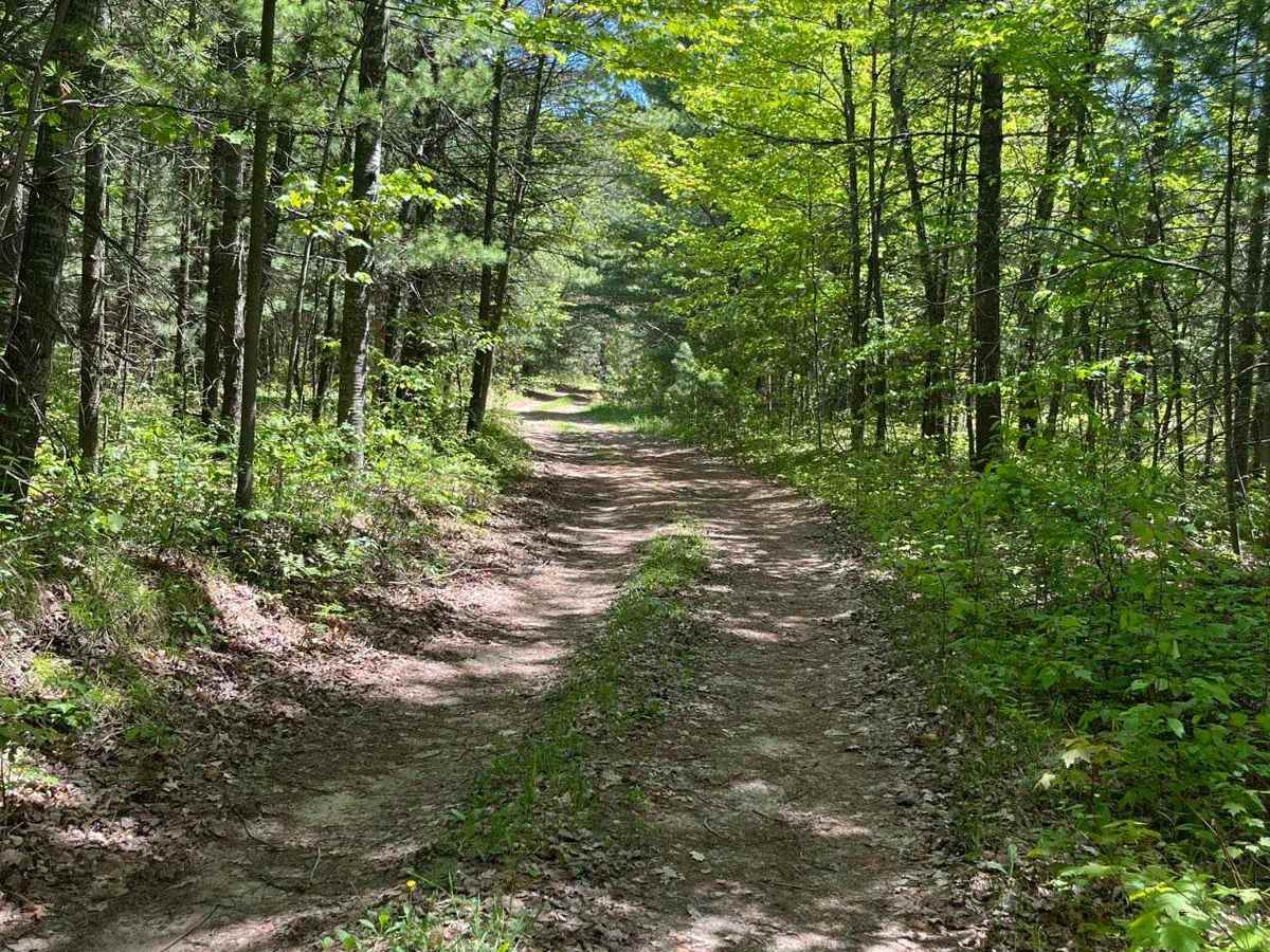 Cadillac Pathway photo 3