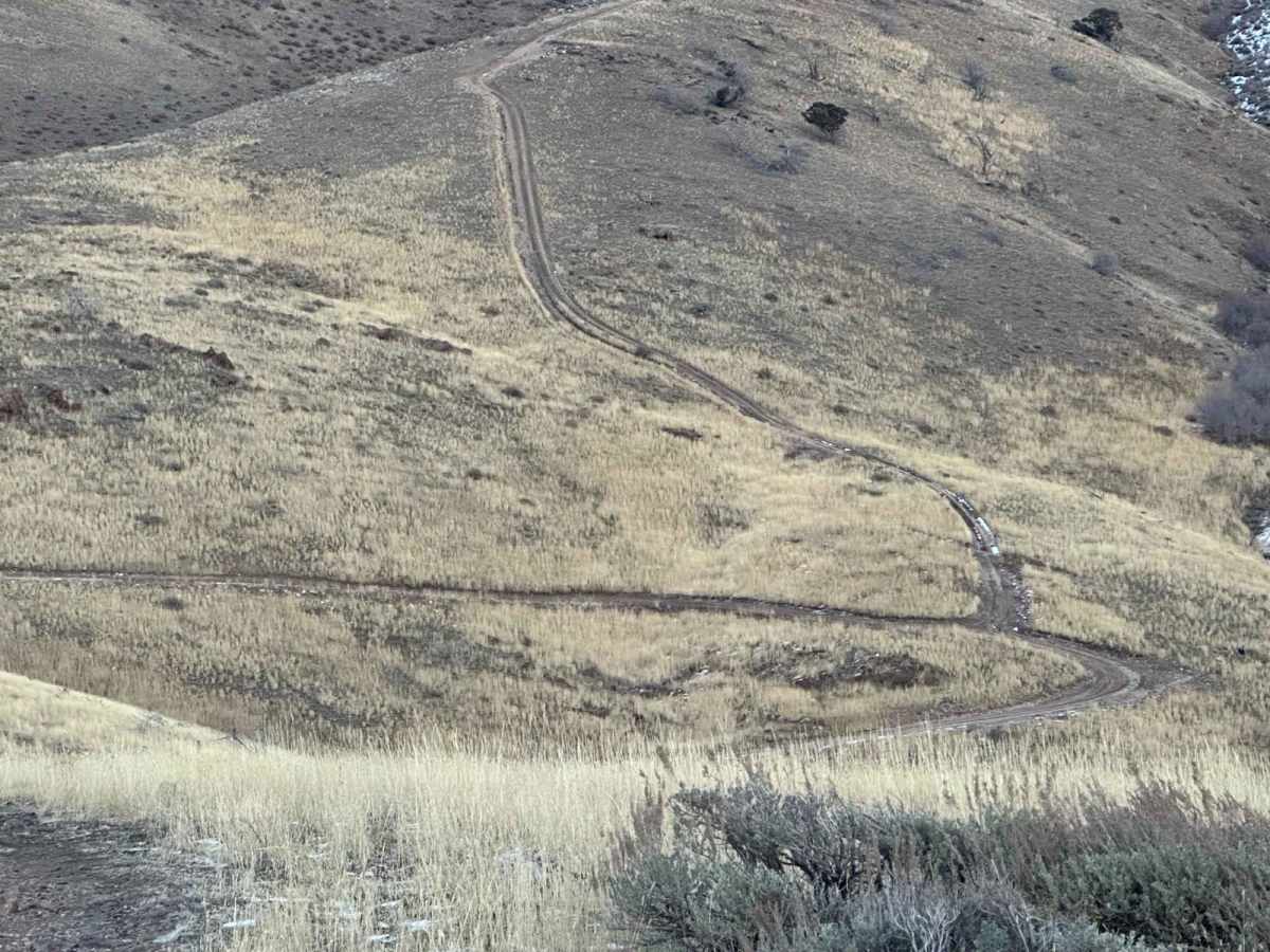Spring Road Loop CR 20035 photo 2