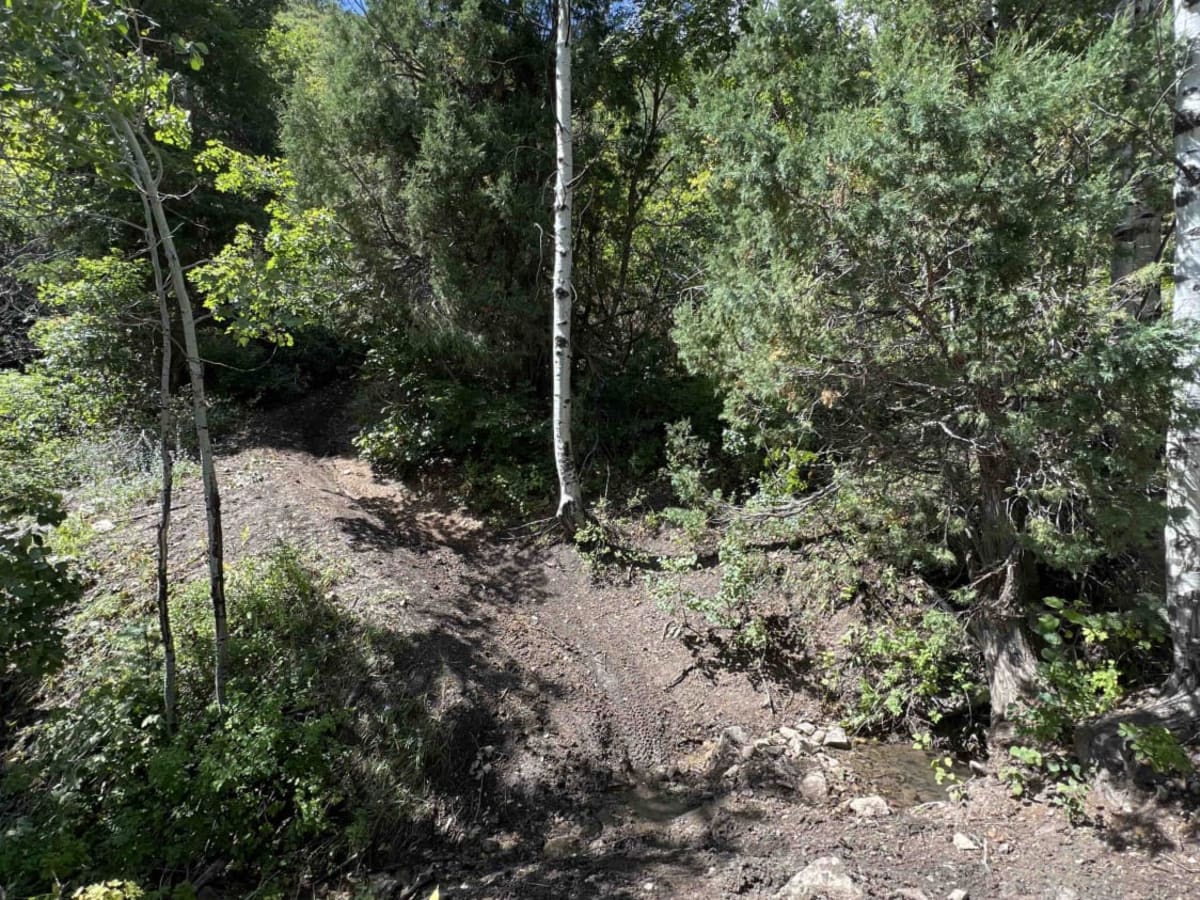 Mapleton-Sawmill Hollow (8013) photo 6