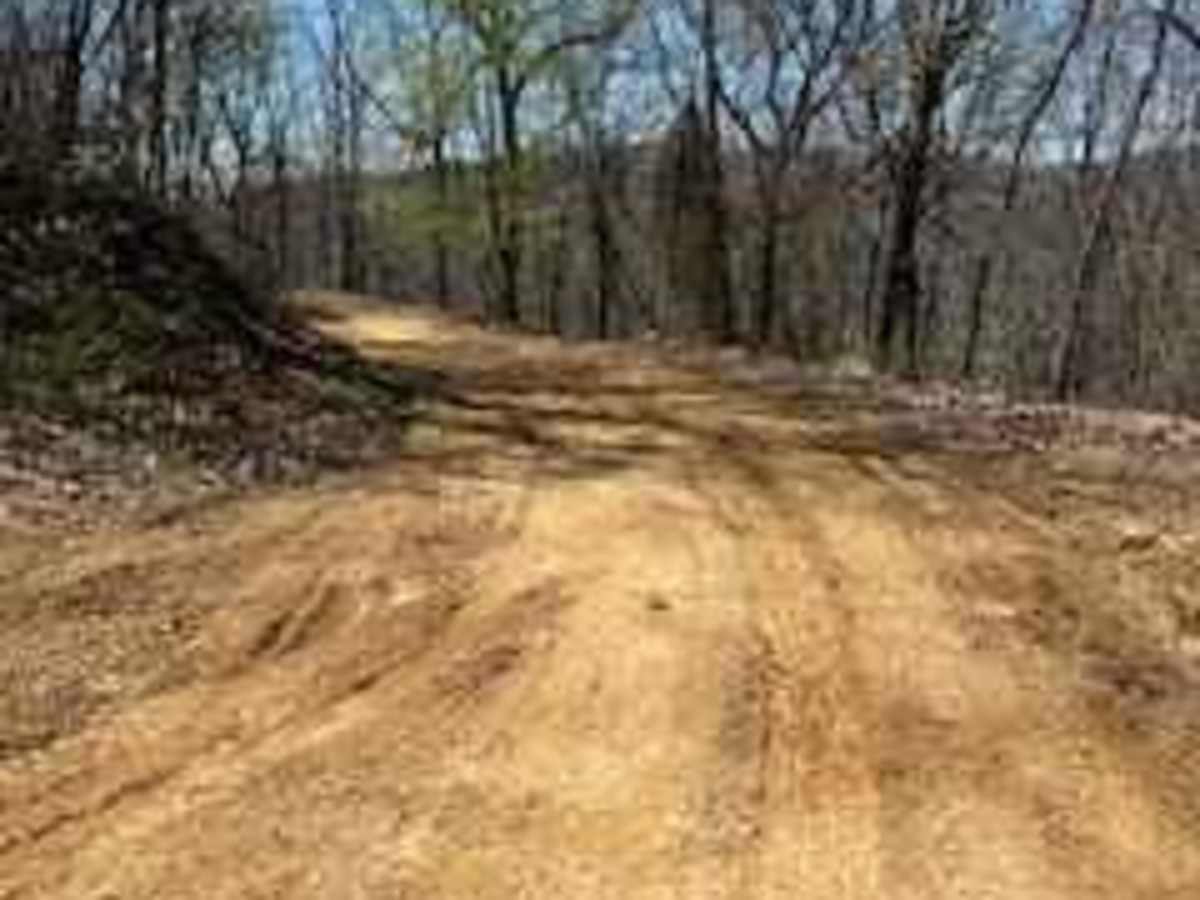 Bumpus Cove Trail - FS 190 photo 2