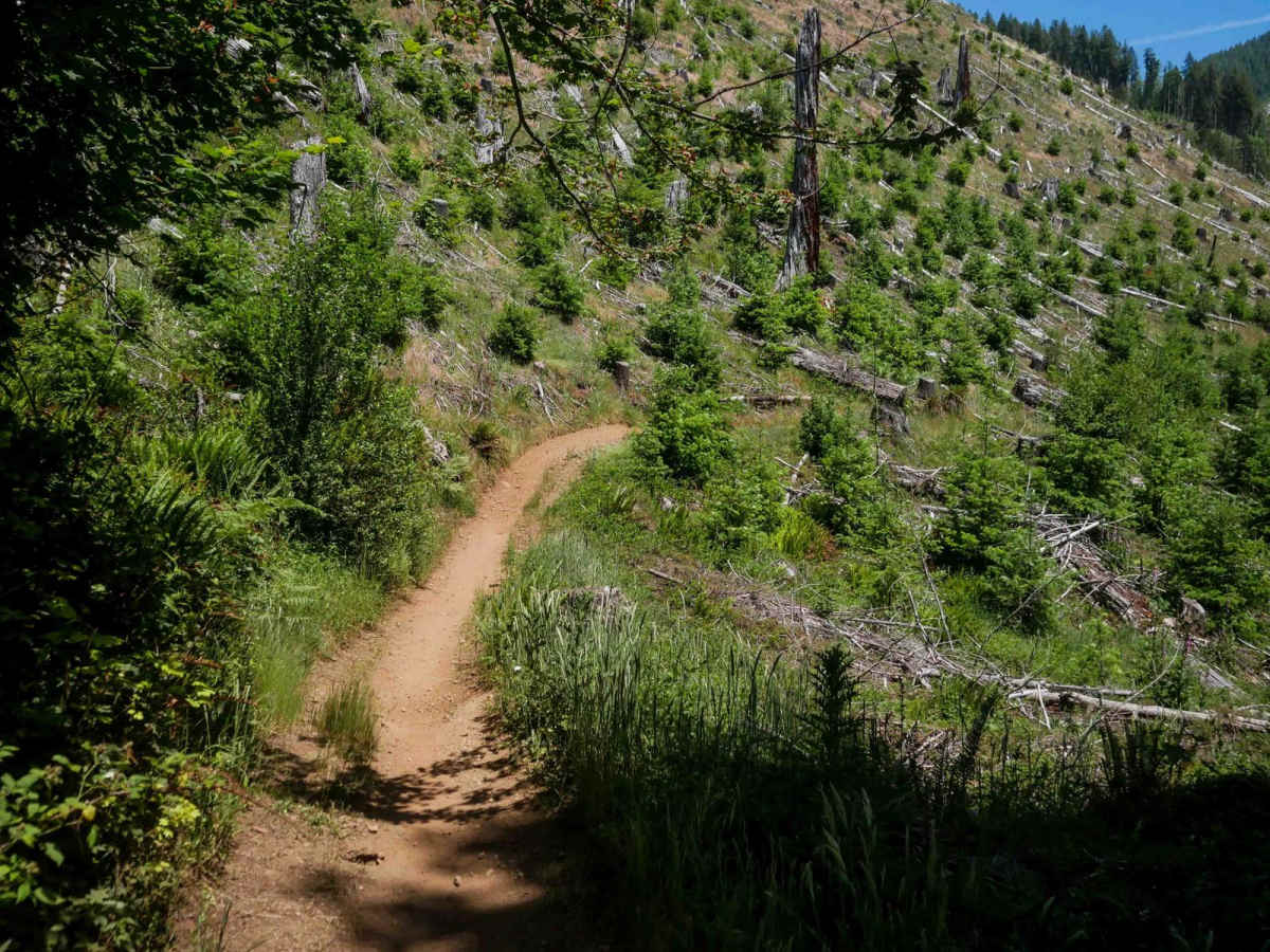 Jordan Creek #84 (Part 3) photo 3