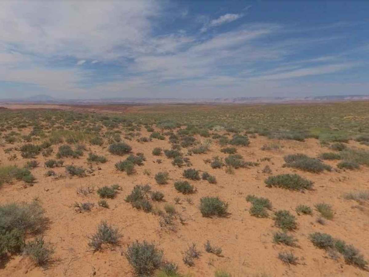 BLM13476 photo 4