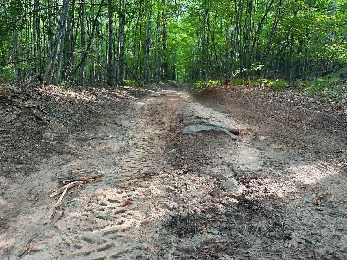 Ditch Dawgs FS 5152 photo 5