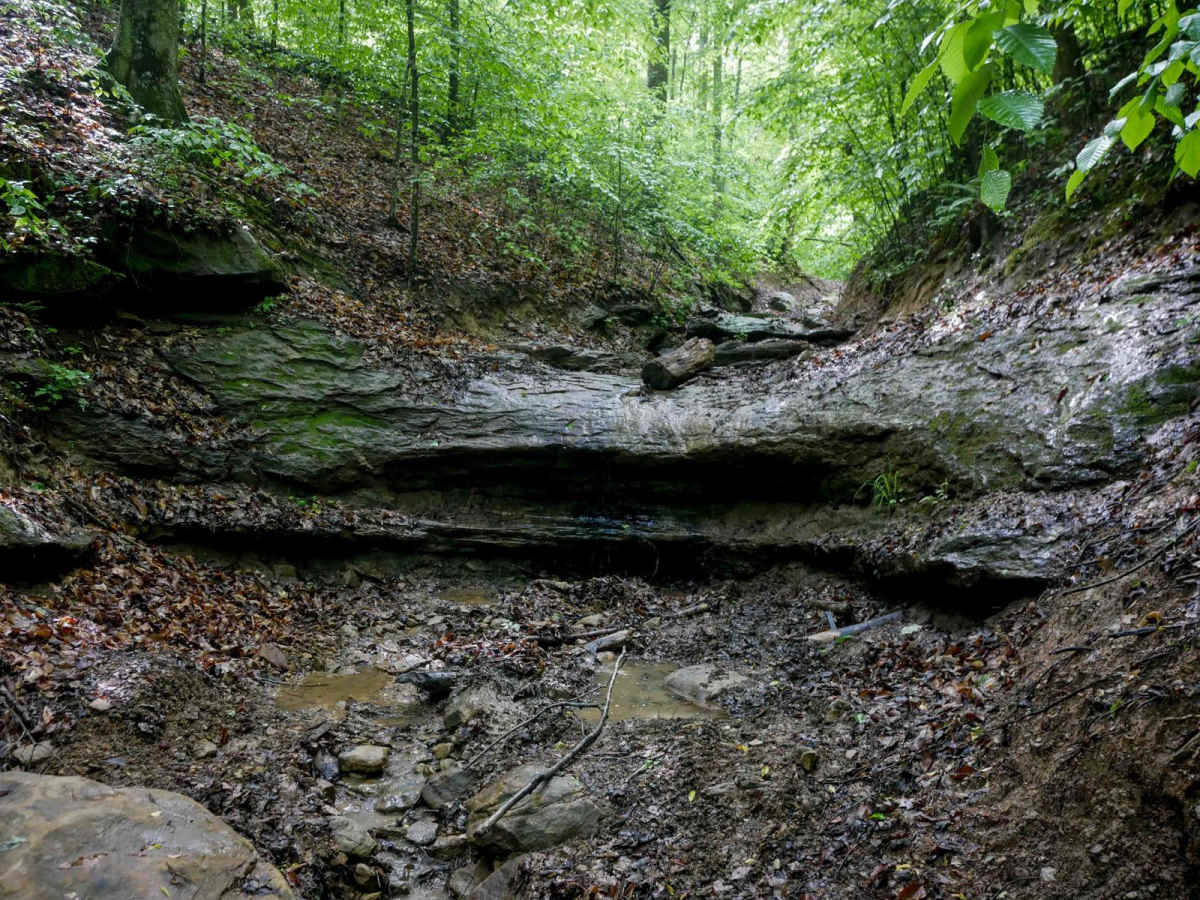 IB 96 trail photo