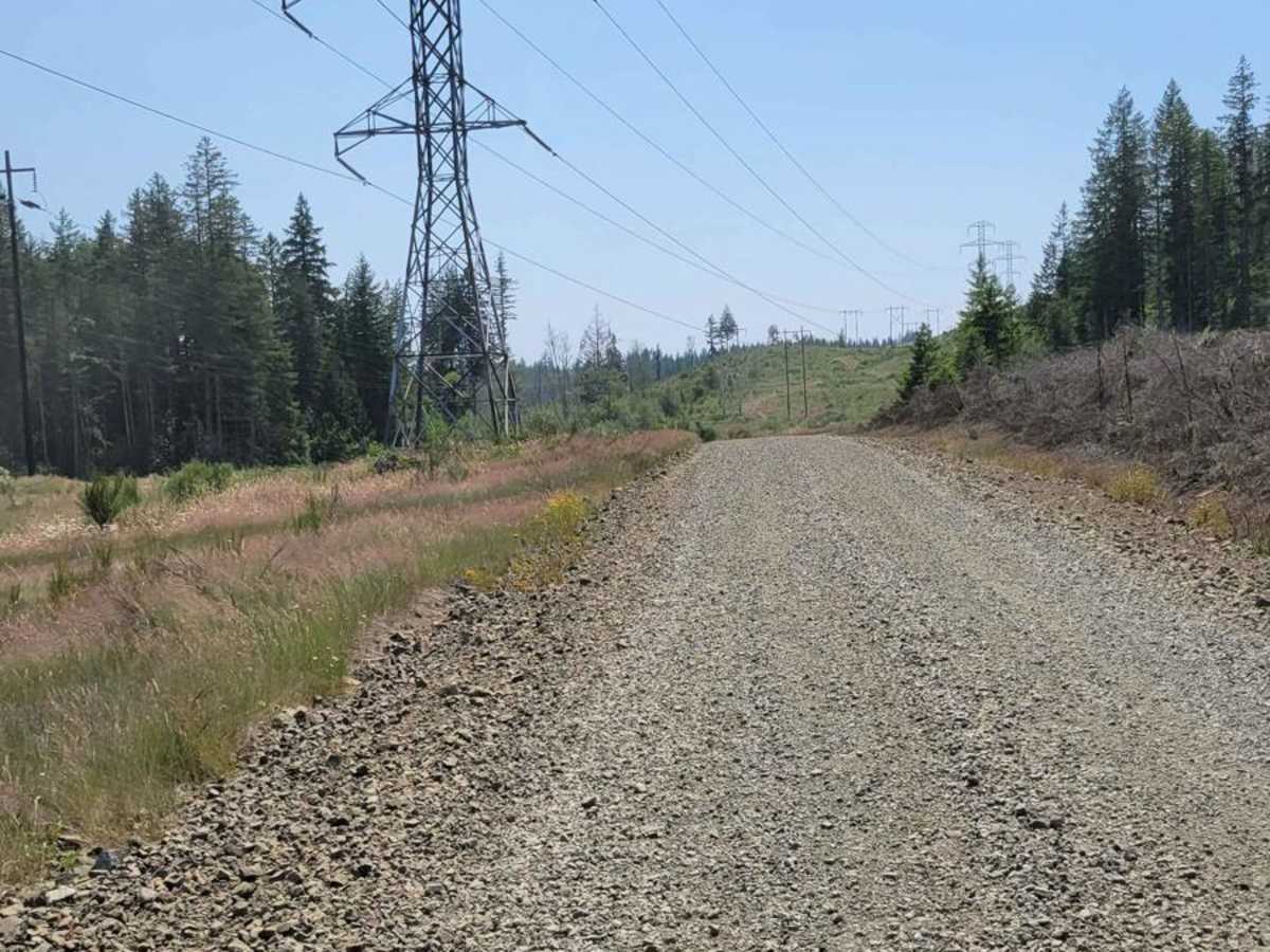 NF 24 - Jorsted Creek photo 2