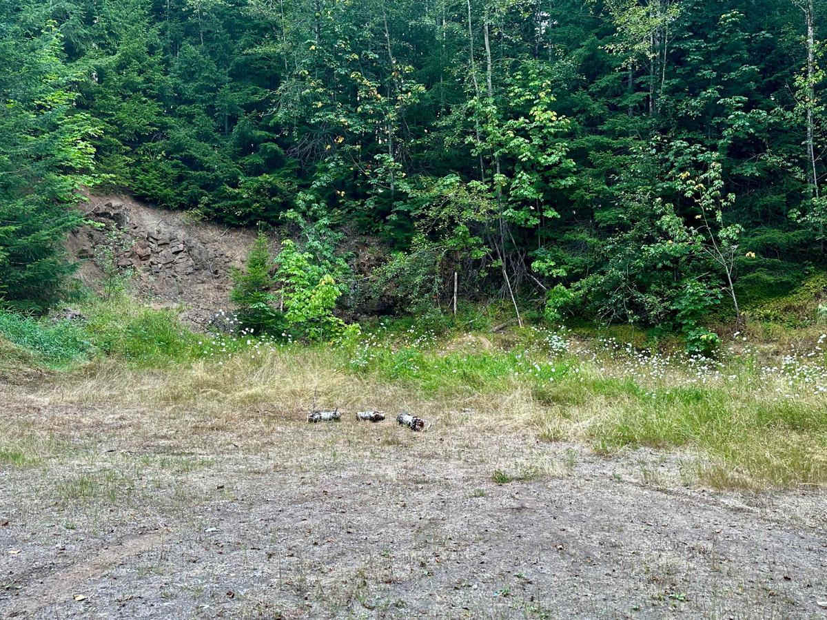 Kilborn Creek photo 3