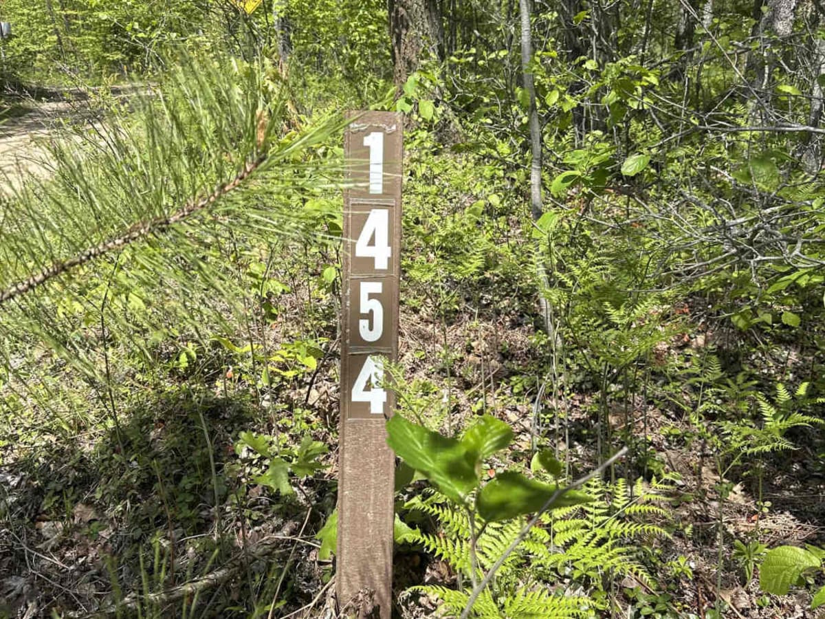 FS 1454 trail photo