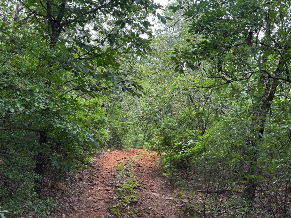 Fun Country trail photo