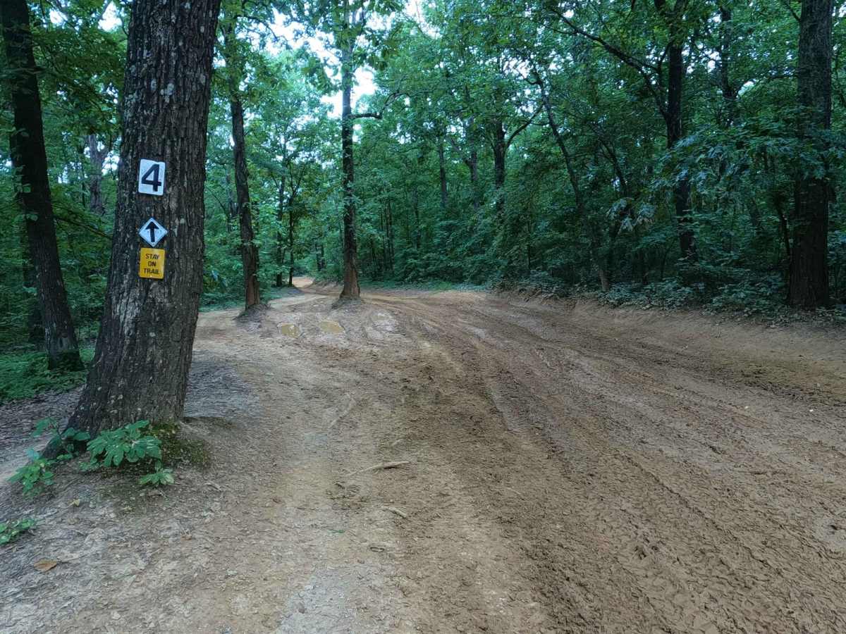 5 to 4 Road trail photo