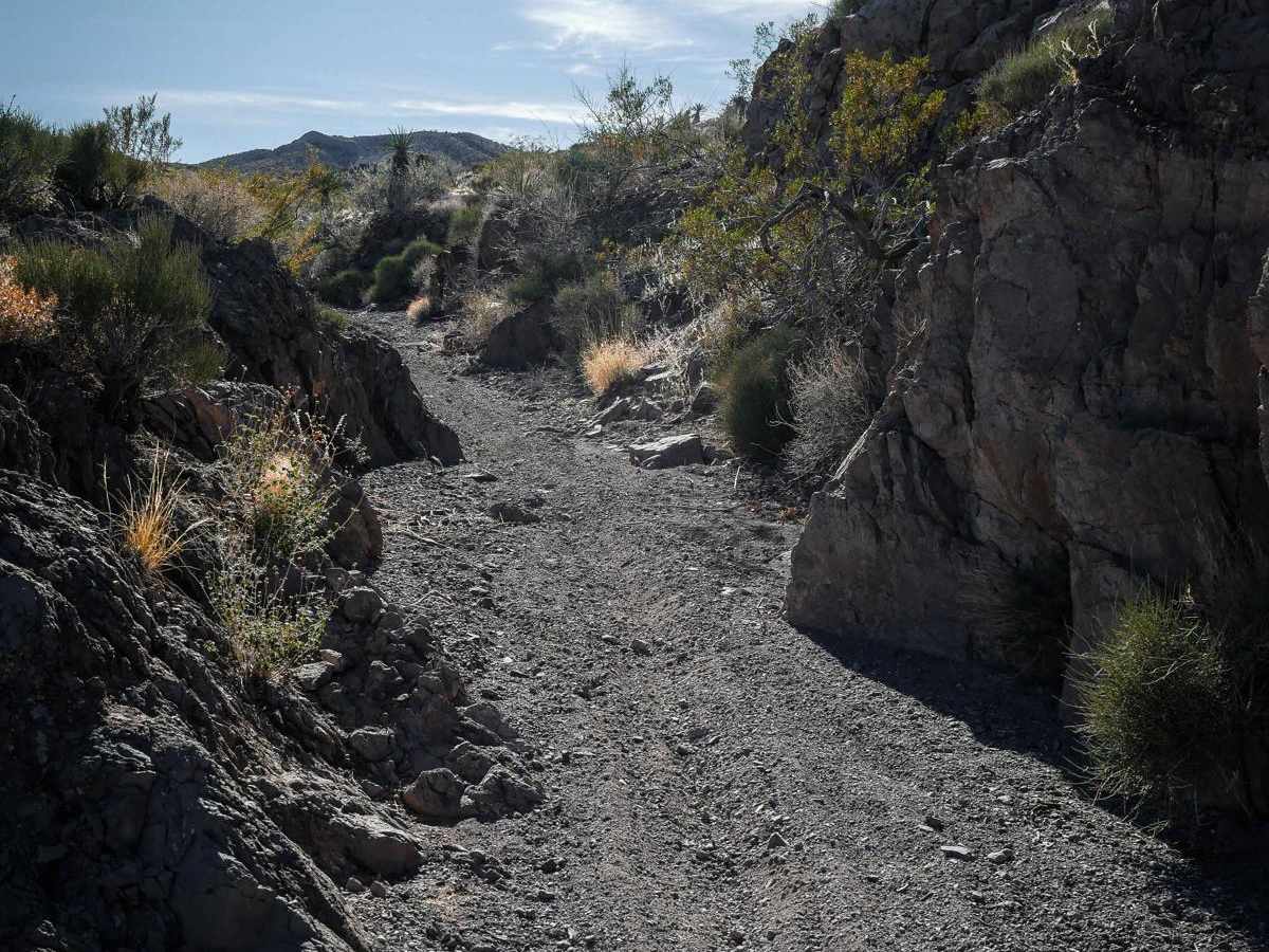 Wash to Ridge Single Track photo 2