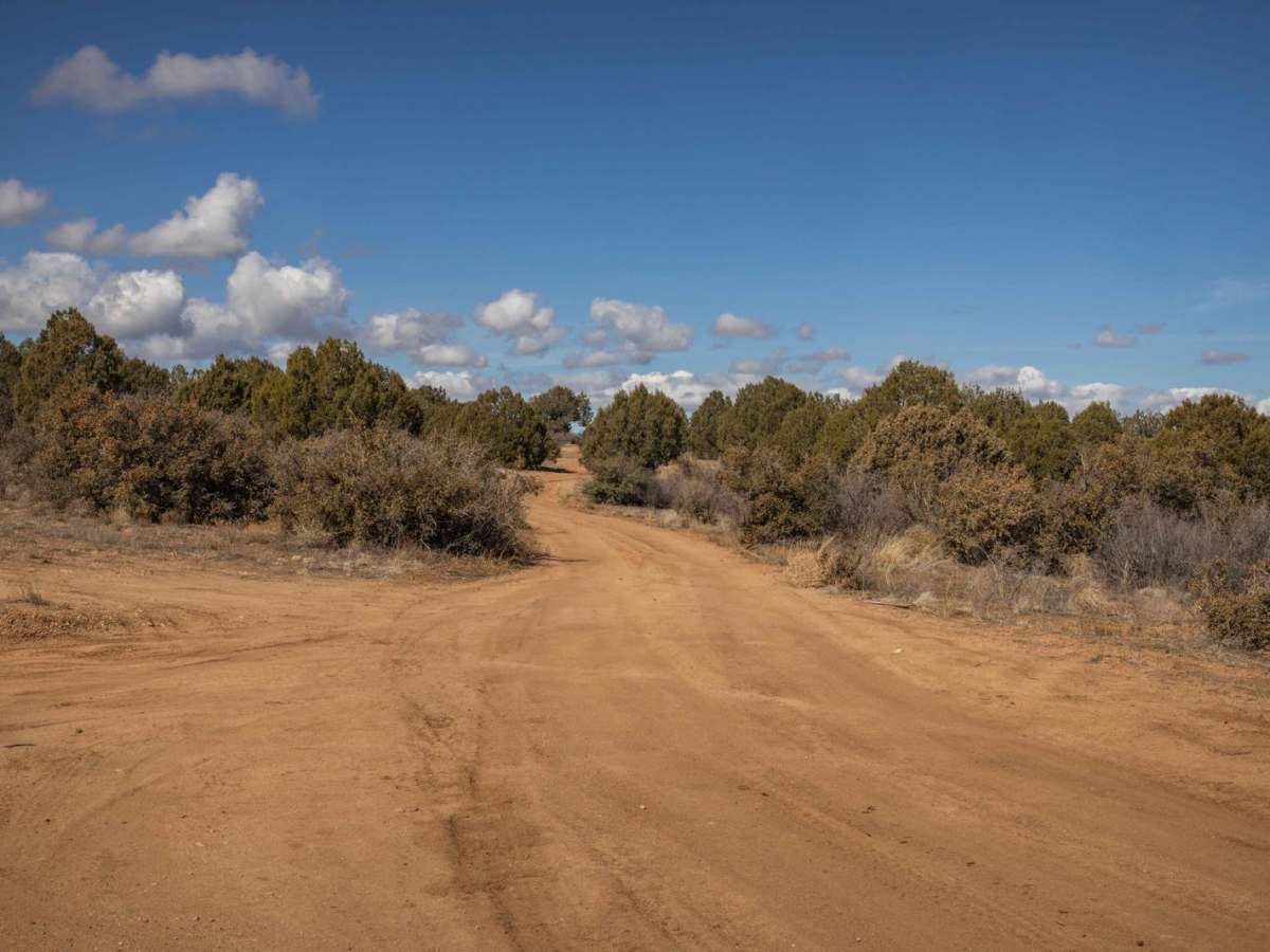 Javelina Problem trail photo