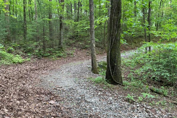 Blue Mountain Spring - FS 639