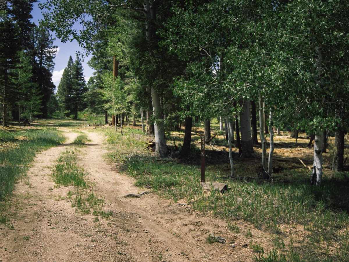 610k trail photo