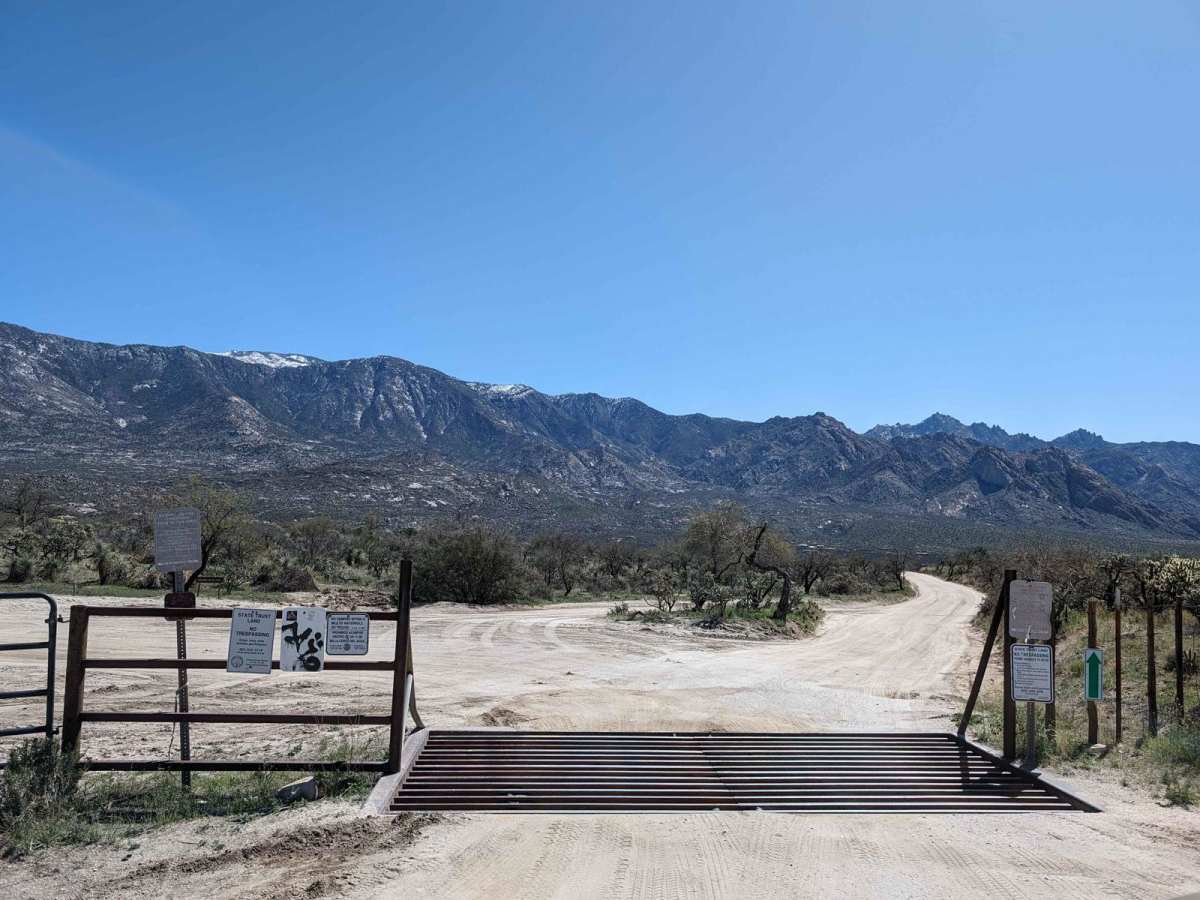 50 Year Trail Loop photo 4