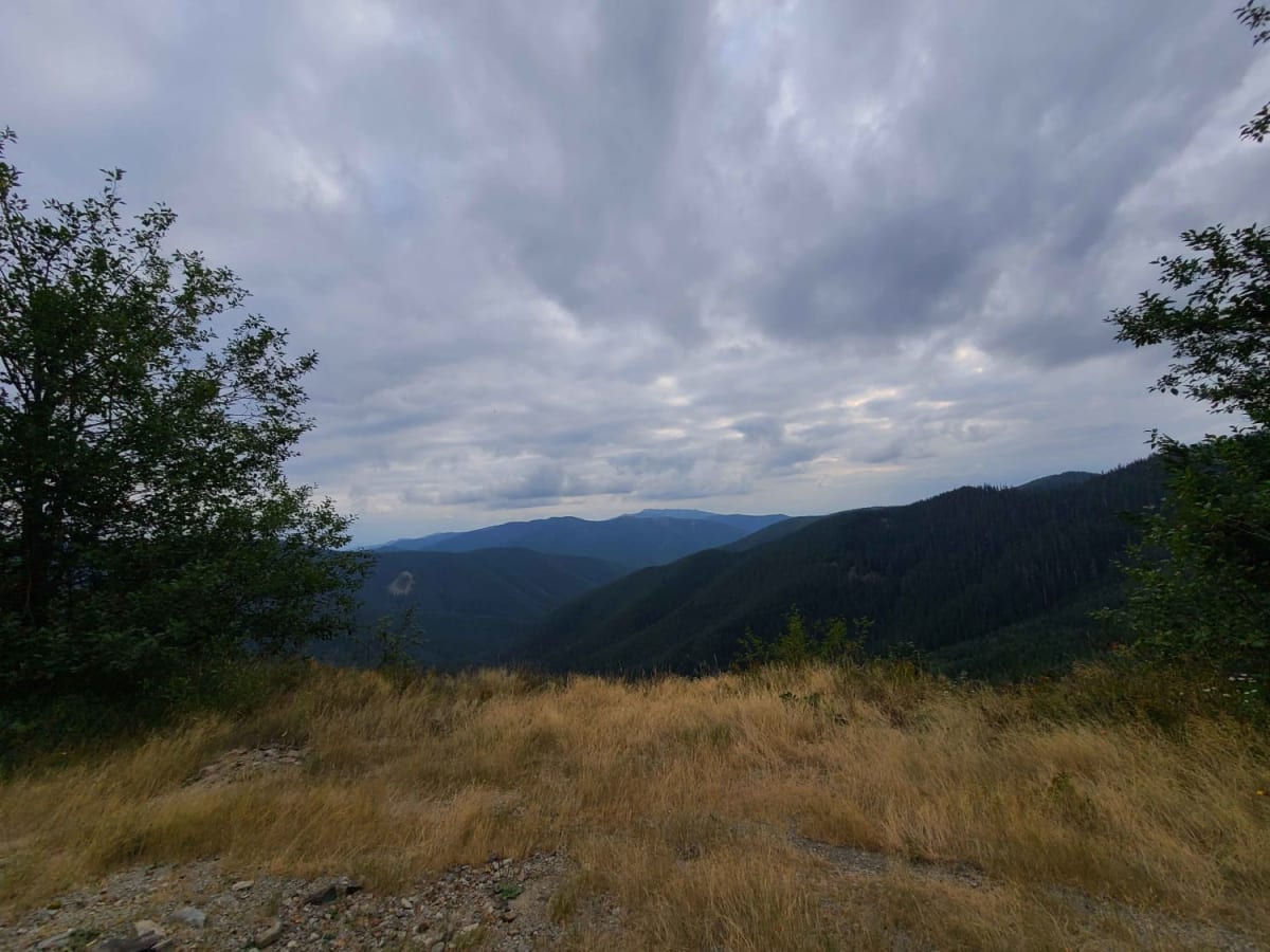 Campers Pass trail photo