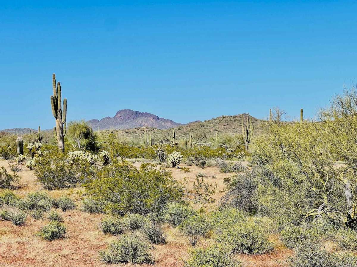 The Real 9090 trail photo