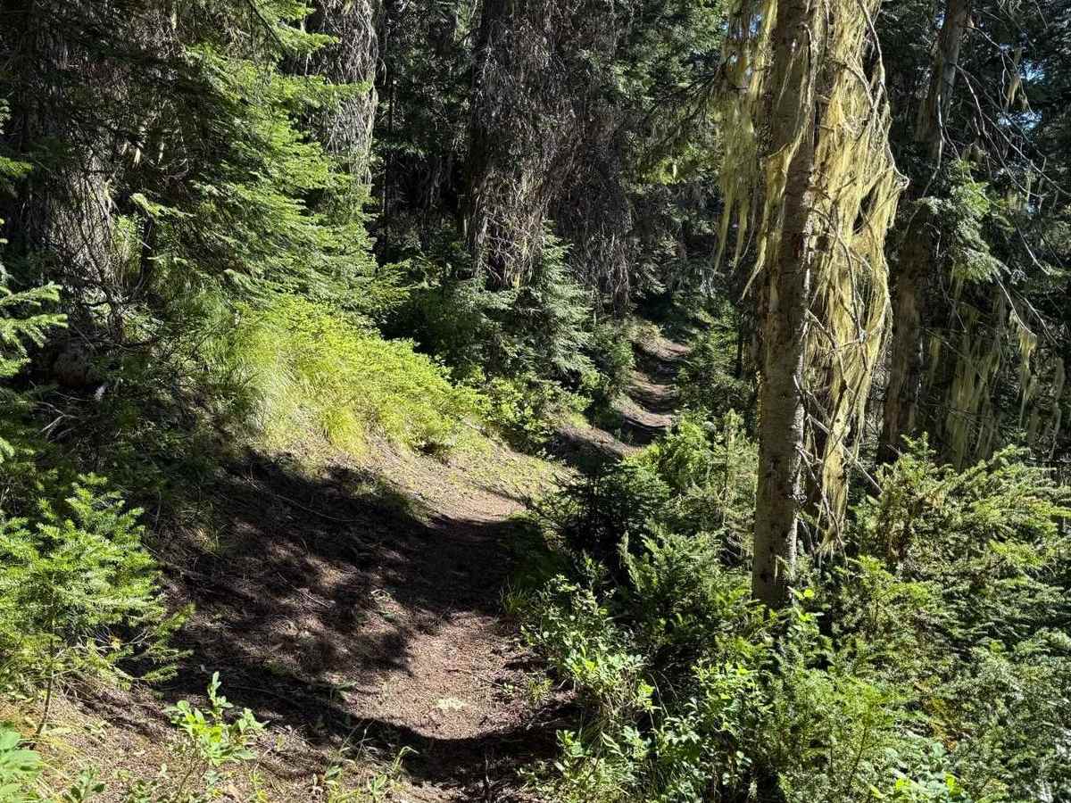 Green Mountain trail photo