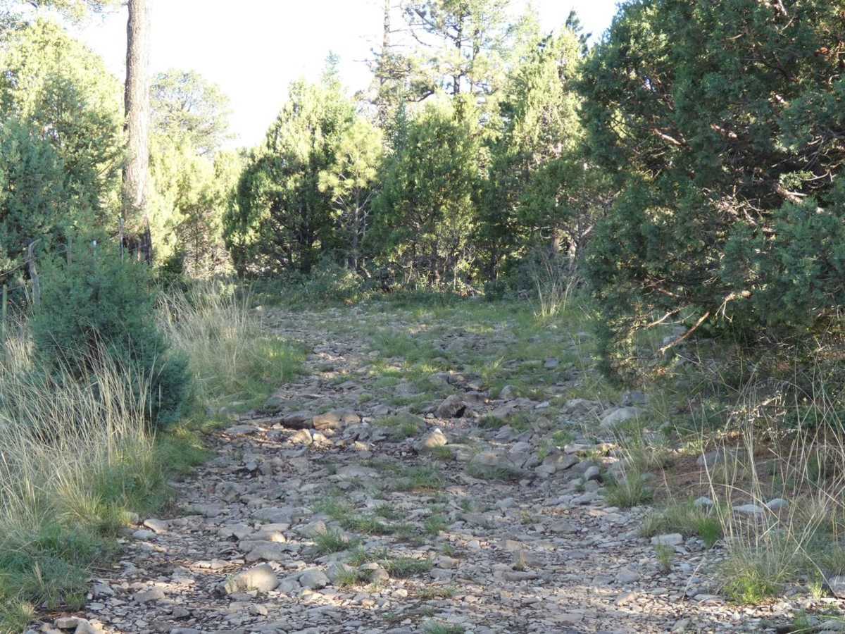 James Ridge photo 6