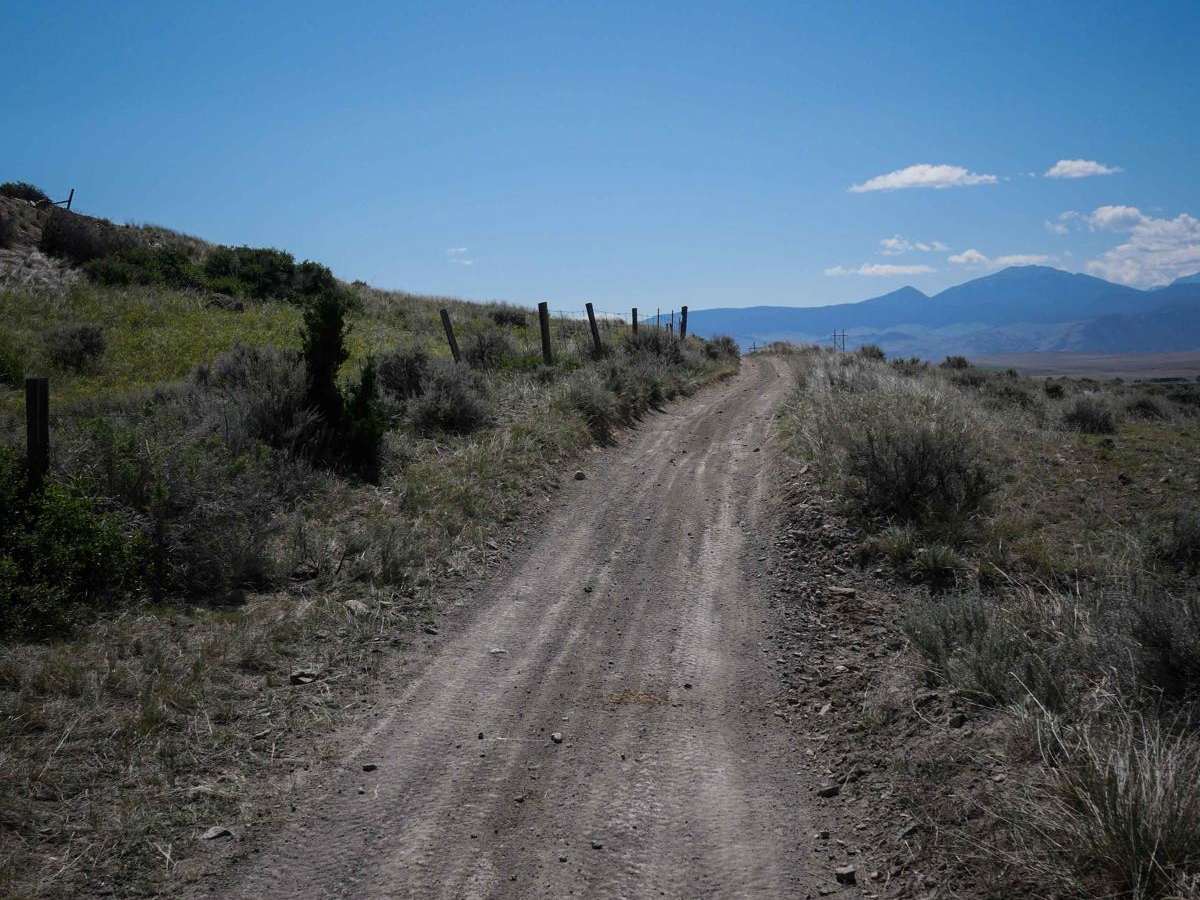 BLM 1 photo 3